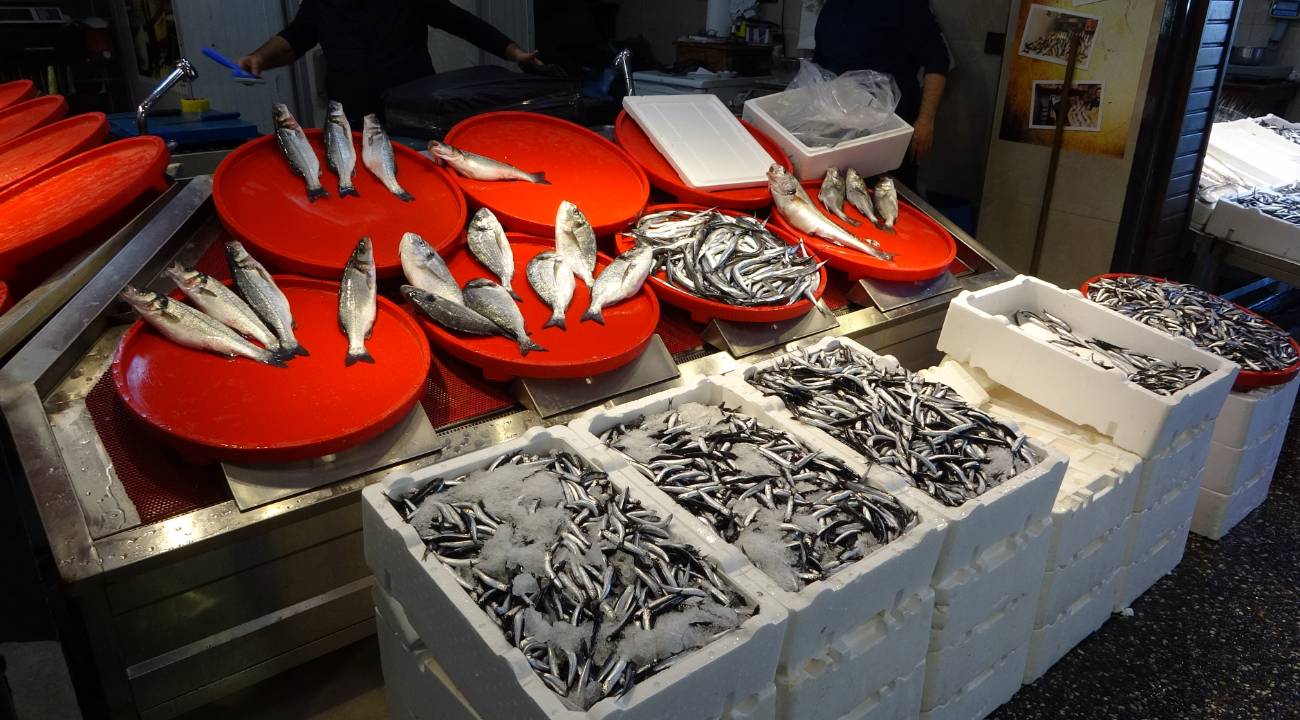 Balıkçılar umduğunu bulamadı: Palamut umudu gelecek yıla kaldı