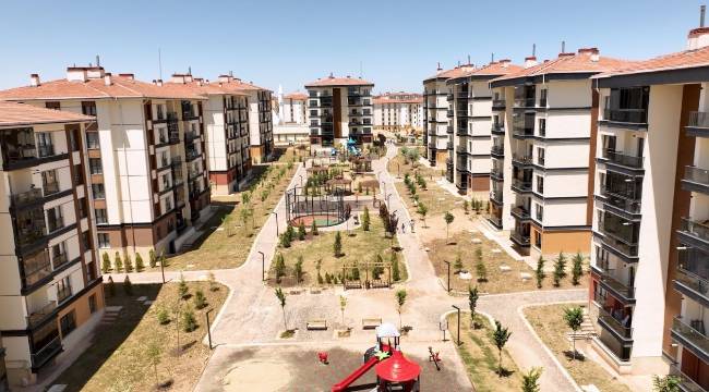 Aynı kişi birden fazla kategoriye başvurabilir mi?