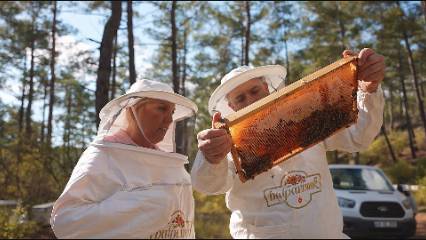 'Türk Çam Balı’nda devlet tarafından fonlanmalıyız'