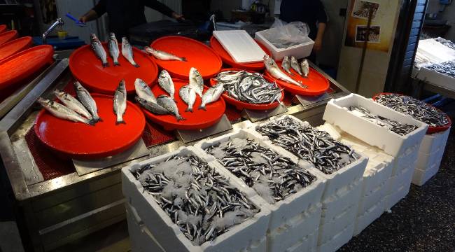 "Bazı sezonlar bol olurken bazı sezonlar hiç olmuyor"