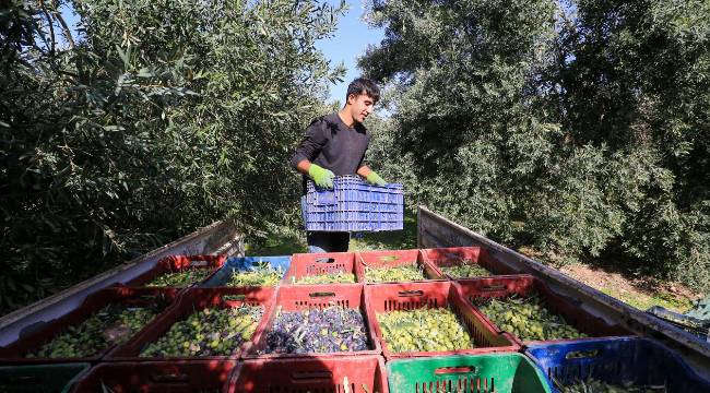 Üretim azaldı, kalite arttı