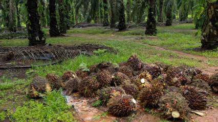Türkiye-Malezya ticaret hattı büyüyor