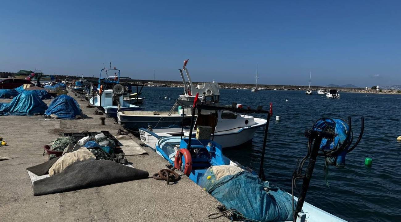 Balık sezonu hayal kırklığıyla başladı: O balık Karadeniz’de görülmedi
