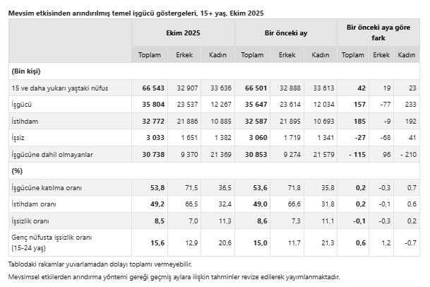 TÜİK açıkladı: Ekim ayına ait işsizlik rakamları belli oldu-3