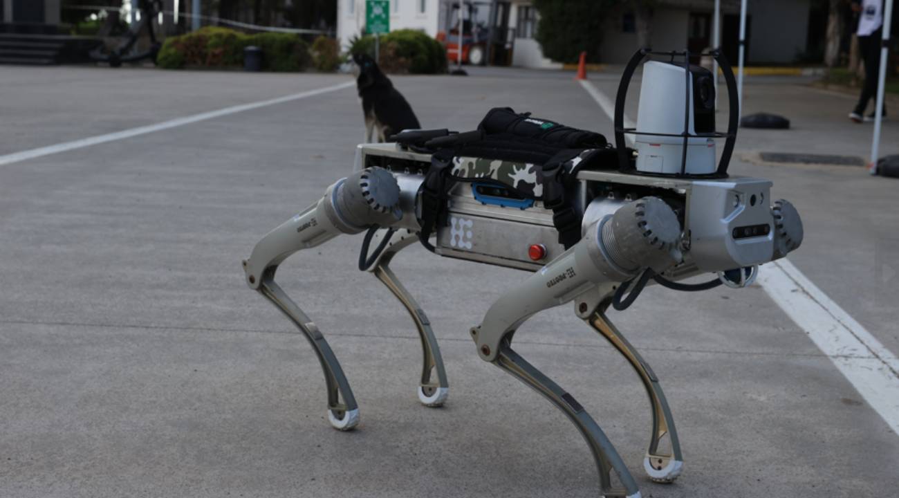 Milli robot köpek için geri sayım başladı: 2026 başında sahaya çıkıyor