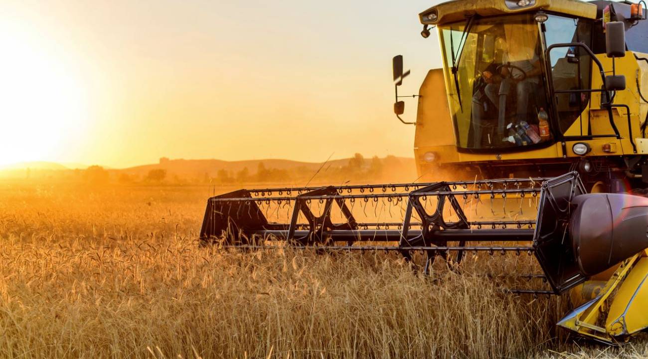 Çiftçilere 1,5 milyar liralık destek ödemesi başlıyor