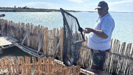 Maliyeti de besin değeri de yüksek: Adana kıyılarından sofralara uzanan lezzet
