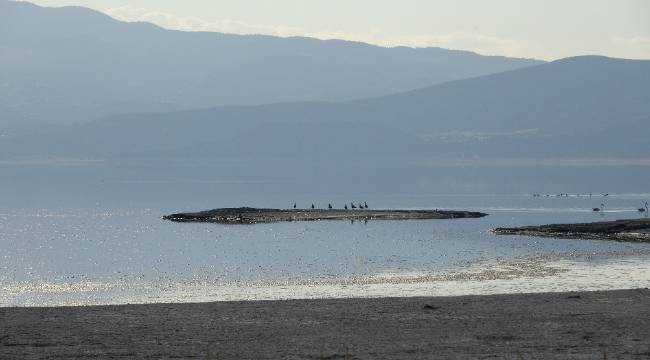Göllerin kurtulabilmesine dikkat çekti