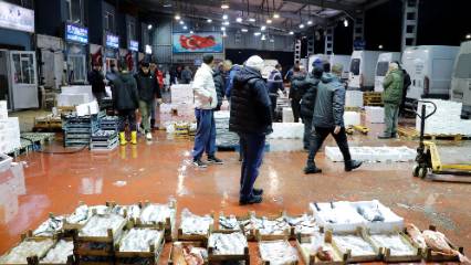 Kocaeli’de balık mezatlarının gözdesi hamsi oldu