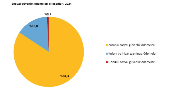 2024 yılına ait İşgücü Maliyeti İstatistikleri açıklandı-5