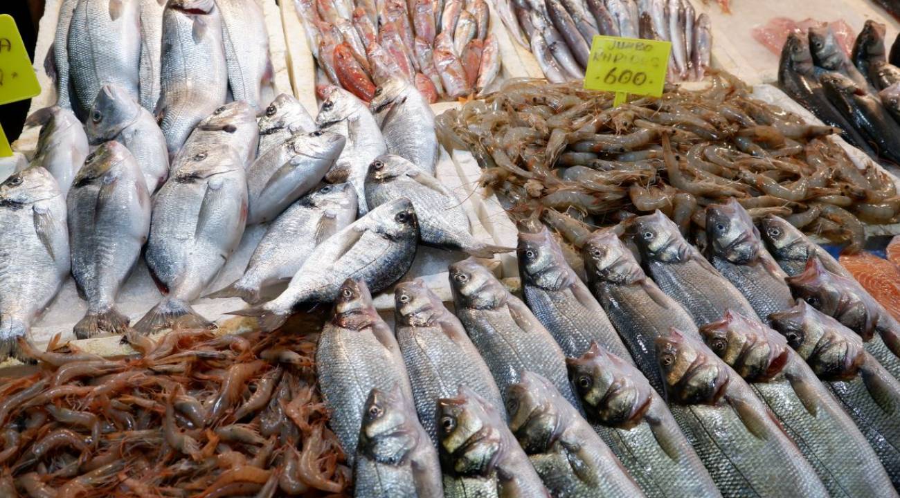 Kış aylarında tüketilecek en iyi balıklar: Hangi türler öne çıkıyor?