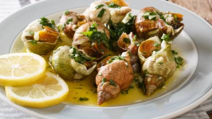 Deniz salyangozu ihracatından 10 milyon dolardan fazla gelir elde edildi