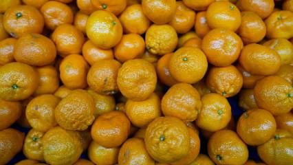 Üreticinin yüzü güldü: Mandalina ihracatında tüm zamanların rekoruna ulaşıldı