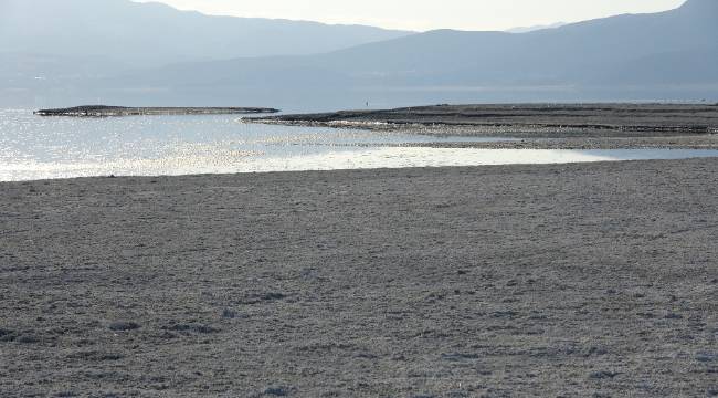 "Uydu görüntülerine göre su alanında yüzde 40 küçülme görüyoruz"