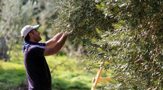 Teknoloji ve devlet destekleri etkili oldu