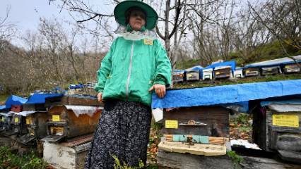 Babasından öğrendiği mesleği 45 yıldır sürdürüyor: Kadın arıcı yılda 1 ton bal üretiyor