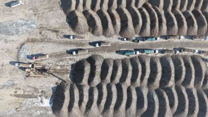 Binlerce ton pancarla ekonomiye milyonluk katkı sağlanacak