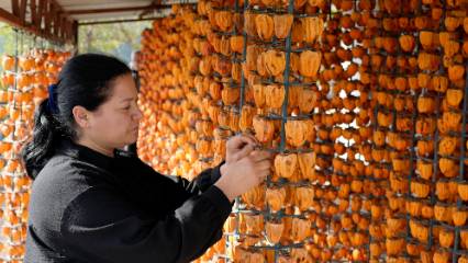 10 dönümlük alanda yetiştirdiği ürünlerin siparişlerine yetişemiyor