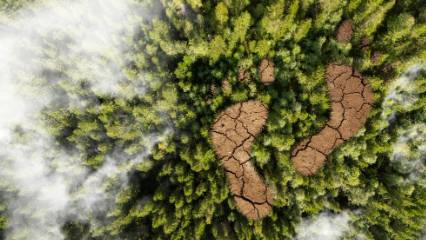 Demir yollarında dijital dönüşüm: 3 bin ağacın kesilmesi önlendi