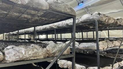 O bölgede açılan tesis, yerel ekonomiye yeni kaynak yaratacak