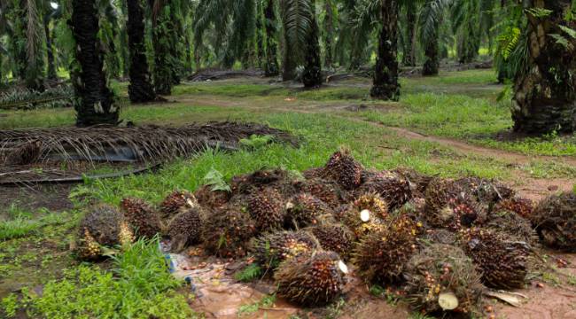 Türkiye-Malezya ticaret hattı büyüyor