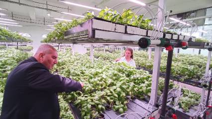 6 dönümlük kapasiteyi 1100 m²'ye sığdıran dikey tarım: 30 milyonluk stratejik yatırım