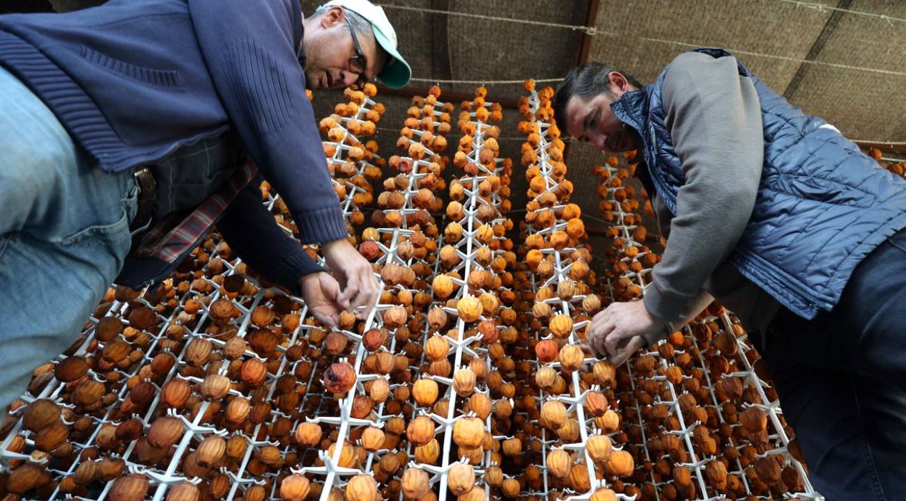 Sadece 458 kişinin yaşadığı köyde bu işi kurdular