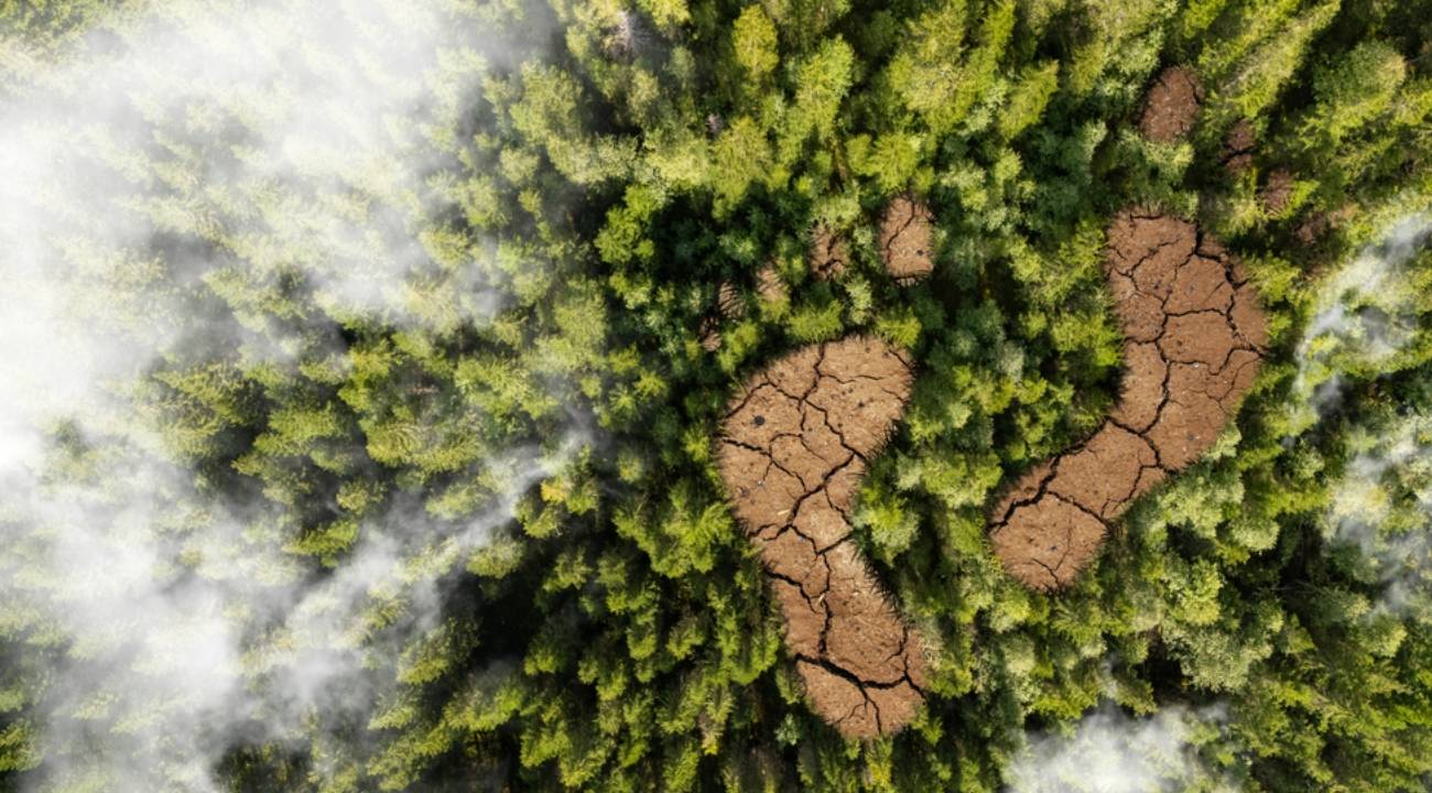 Demir yollarında dijital dönüşüm: 3 bin ağacın kesilmesi önlendi