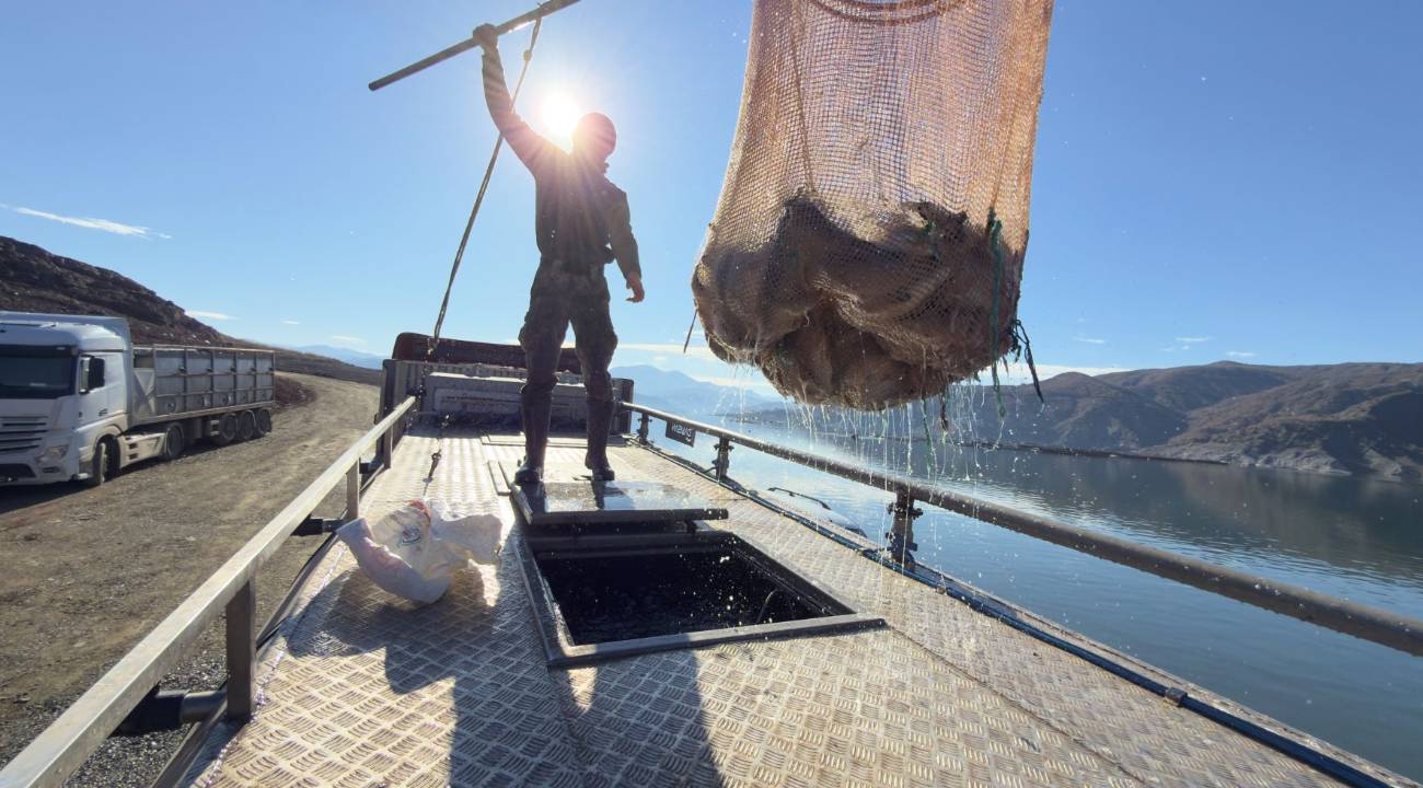 Deniz olmayan o ilde dünyaya somon ihracatı yapılıyor