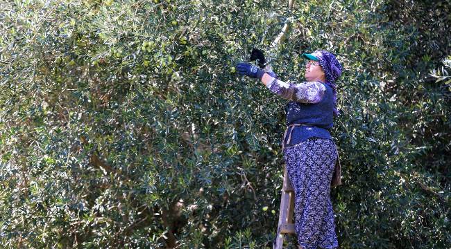 Cumhuriyet tarihinin en yüksek geliri
