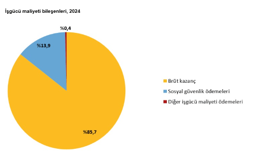 2024 yılına ait İşgücü Maliyeti İstatistikleri açıklandı-3