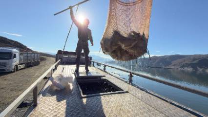 Deniz olmayan o ilde dünyaya somon ihracatı yapılıyor