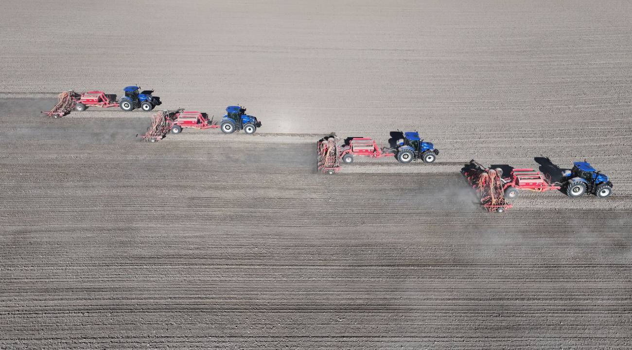 Kuraklığa dayanıklı tohumlar toprakla buluştu: Tonlarca üretim hedefleniyor