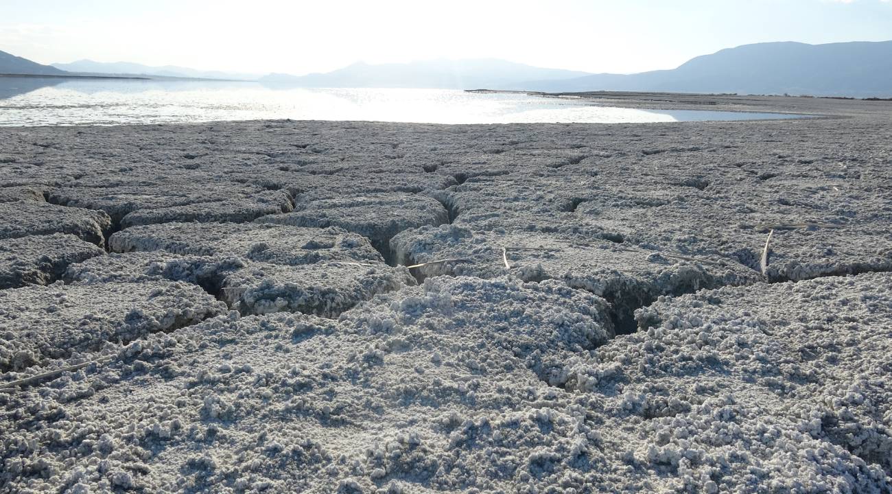Uydu görüntüsü can sıkıyor: Kaybetmek üzereyiz