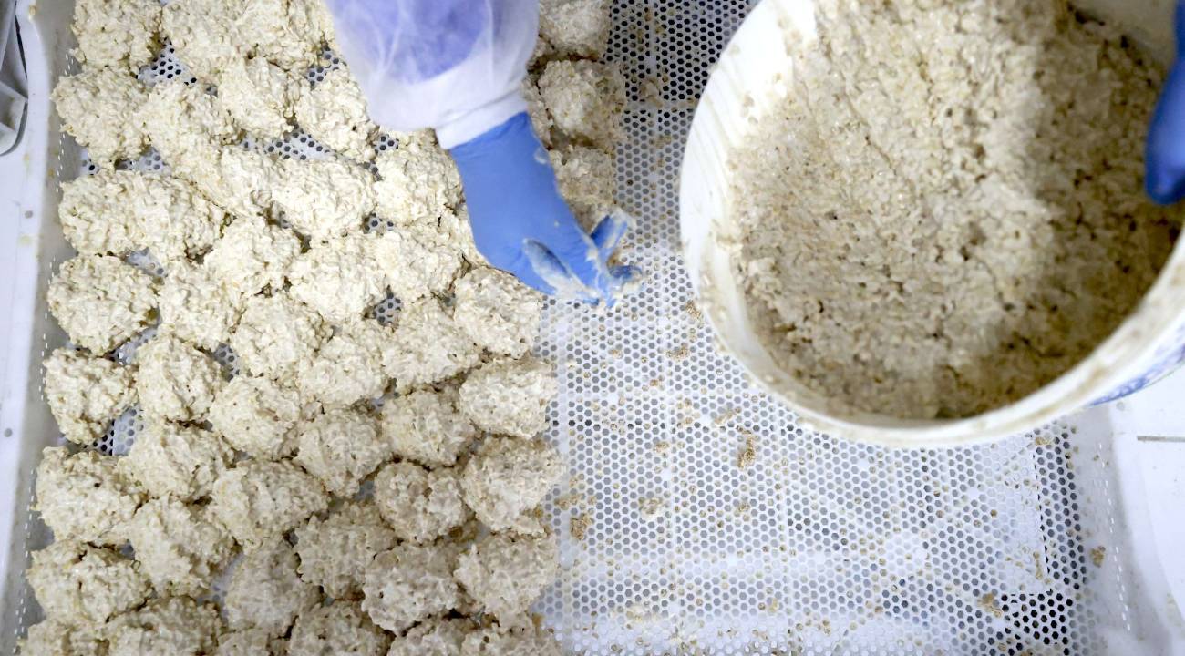 Üç kuşaktır üretilen Osmanlı mirası tarhana dünya pazarına açılacak