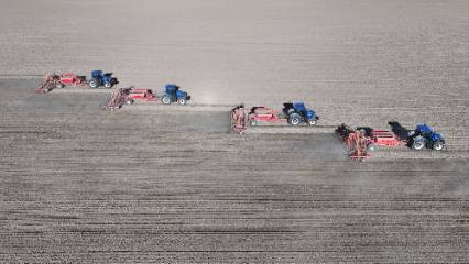 Kuraklığa dayanıklı tohumlar toprakla buluştu: Tonlarca üretim hedefleniyor