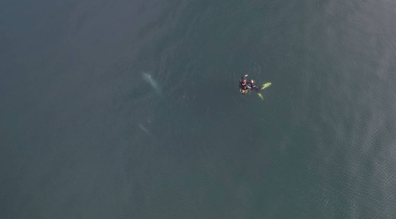 Su altındaki kabarcıklar endişe yaratmıştı: Uzmandan açıklama geldi