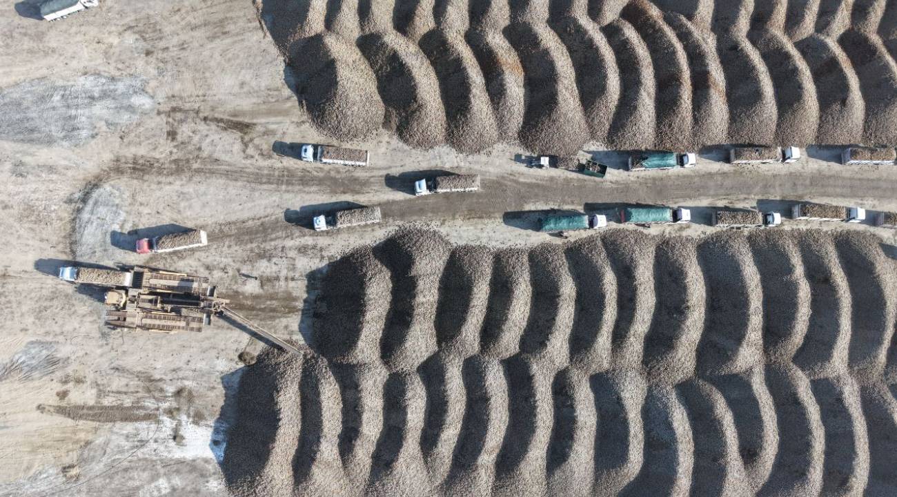 Binlerce ton pancarla ekonomiye milyonluk katkı sağlanacak