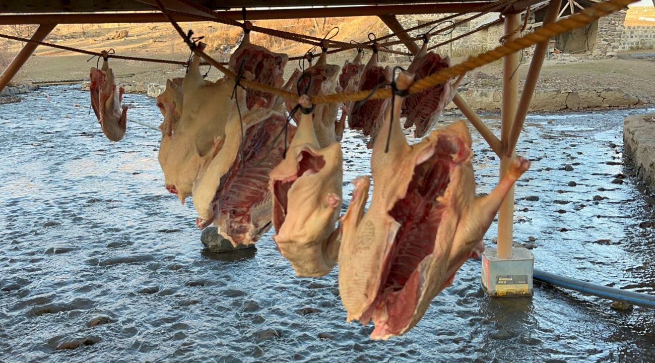 Kars’ta kaz mesaisi başladı: Fiyatları dikkat çekiyor