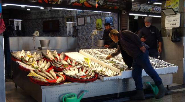 "Bol miktarda hamsi ve istavrit var"