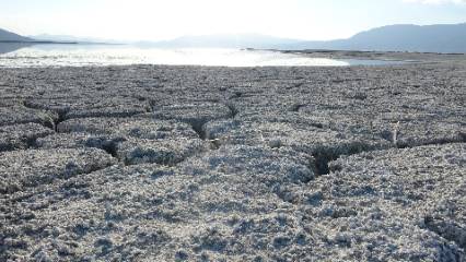 Uydu görüntüsü can sıkıyor: Kaybetmek üzereyiz