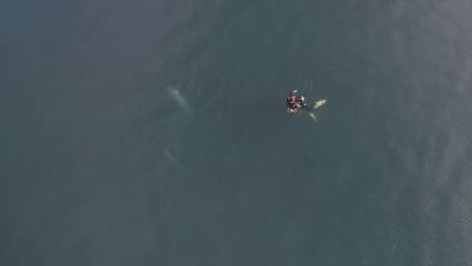 Sapanca Gölü'nde oluşan kabarcıklar görüntülendi: Ne anlama geliyor?