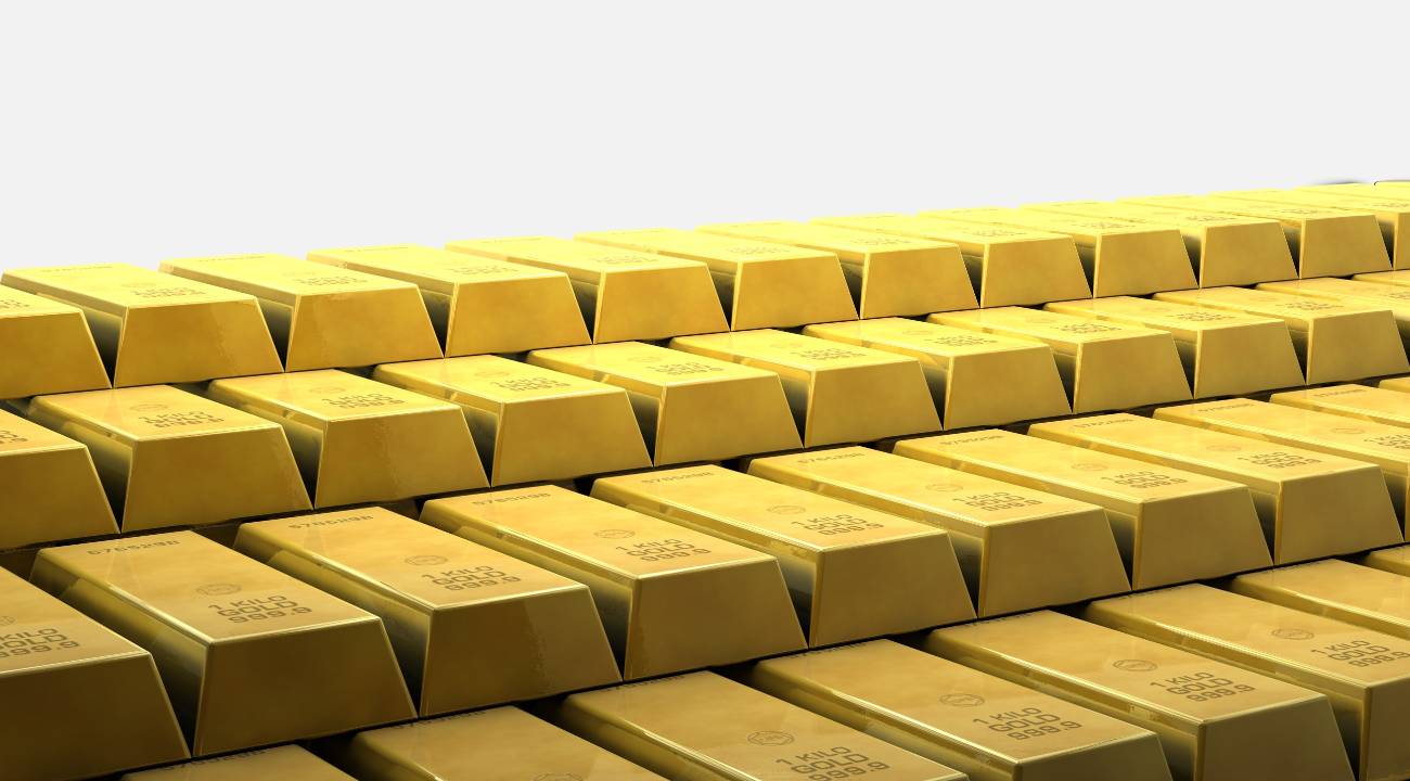 Fransız adam yeni aldığı evin bahçesinde servet buldu