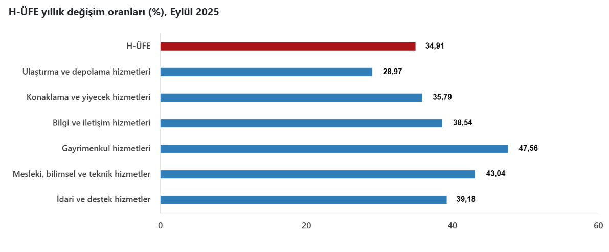 Eylül ayı Hizmet Üretici Fiyat Endeksi verileri açıklandı-3