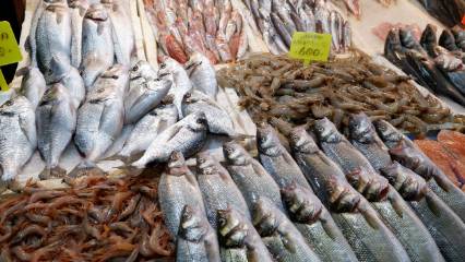 Kış aylarında tüketilecek en iyi balıklar: Hangi türler öne çıkıyor?