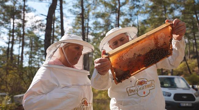 'Türk Çam Balı’nda devlet tarafından fonlanmalıyız'