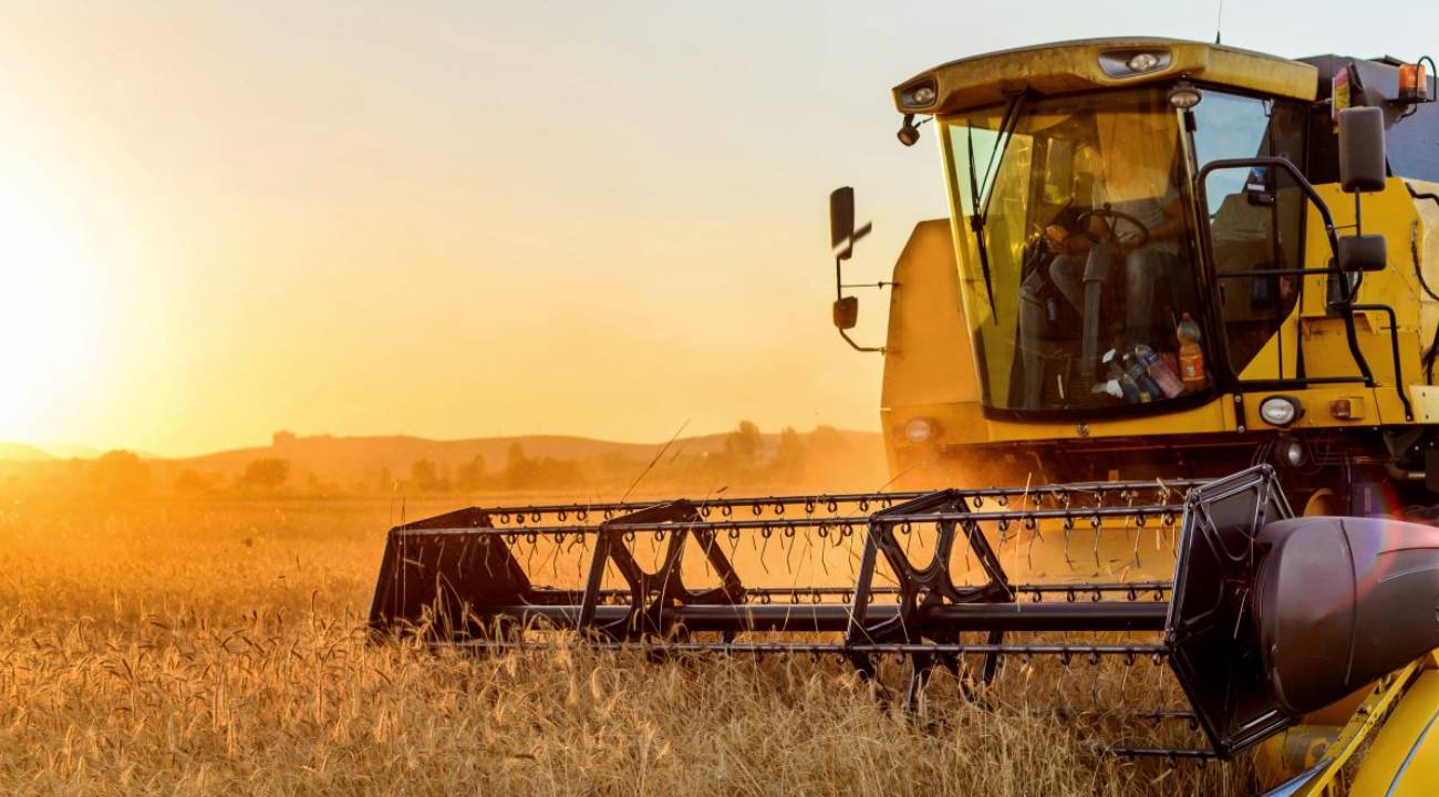 Türkiye’den tarımda güçlü performans: 7 üründe zirveyi gördü