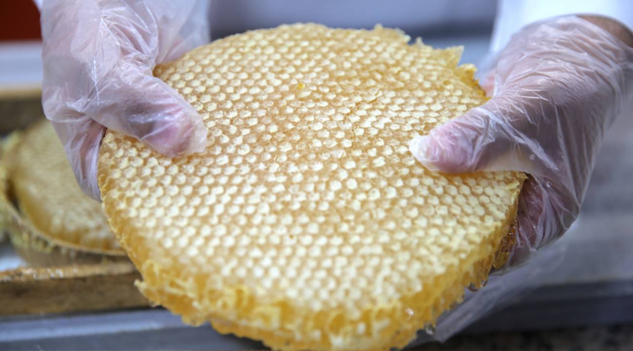 5 bin metrekarelik bal tesisinde günde 4 ton bal işlenecek