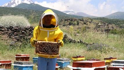 Terk edilen ata toprağına dönüş başarı getirdi: 7 kovanla başladı, hedefi 1 ton bal