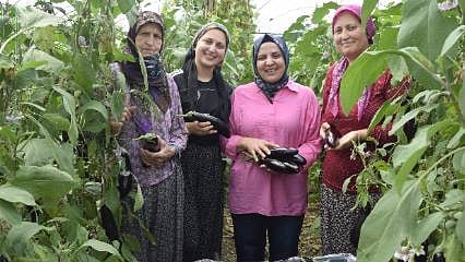 Üç kuşaktır üretimin başındalar: Kadınların seradan yaylaya uzanan mesaisi
